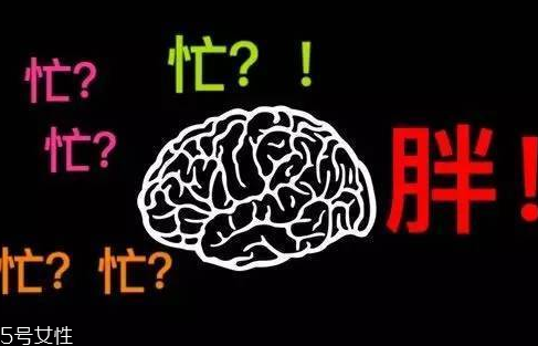 久坐不動上班族如何減肥？越努力工作的人越容易發(fā)胖