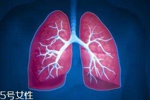 肺漏氣是什么?。糠闻萜屏岩饸庑?><p><strong>肺漏氣是什么??？肺泡破裂引起氣胸</strong></p></a></li> <li><a href=