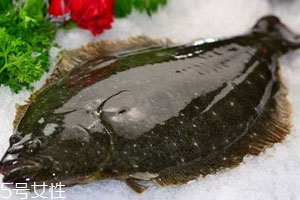 鴉片魚(yú)是海魚(yú)還是河魚(yú) 不是深海魚(yú)類(lèi)