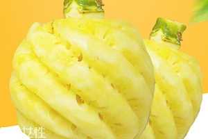 泰國(guó)迷你小菠蘿多少錢(qián)一斤？mini小菠蘿火遍泰國(guó)