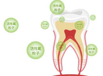 牙貼怎么分上下牙貼？牙貼怎么分正反