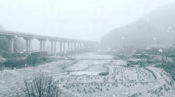 冬日初雪夢幻妝容教學(xué)