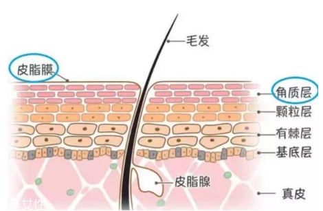 bb霜和粉底液哪個好 bb霜挑選技巧