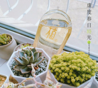 植觀洗發(fā)水是不是三無 炸毛小仙女的福音