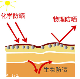 油性皮膚怎么防曬不油膩 輕松安穩(wěn)過夏天