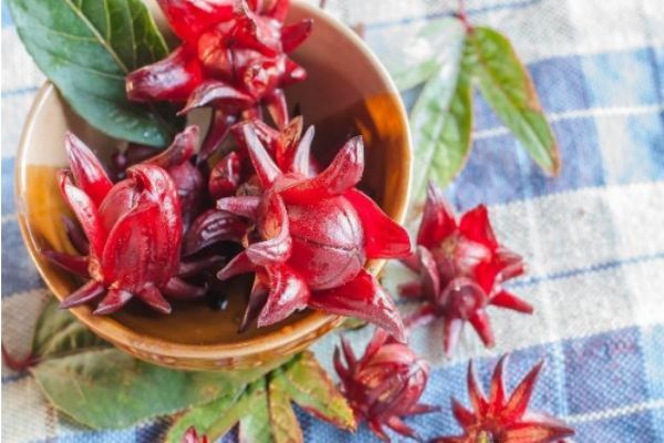 洛神花茶一次泡幾朵 洛神花茶泡出來是什么顏色