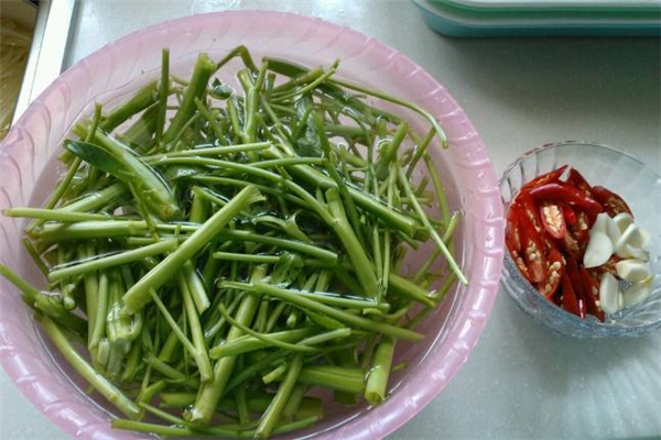 空心菜老了可以吃嗎 空心菜老了怎么做好吃