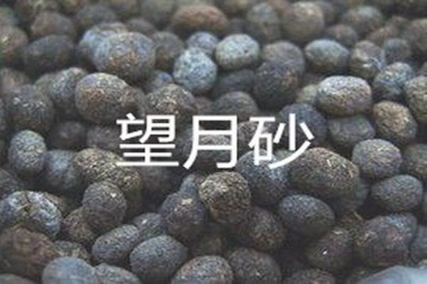 望月砂是什么 望月砂怎么鑒別