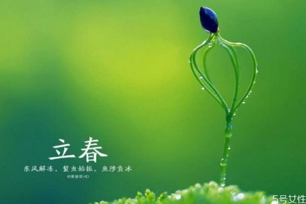 立春當(dāng)天可以打掃衛(wèi)生嗎 立春這天有什么講究