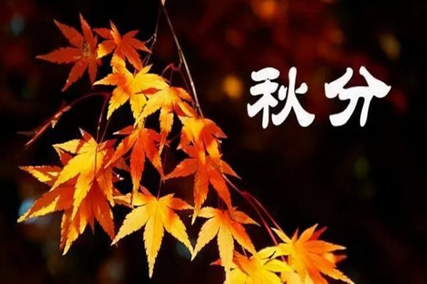 秋分白天黑夜有什么特點(diǎn) 秋分白天和黑夜一樣長(zhǎng)嗎