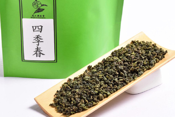 四季春茶有茶多酚嗎 四季春茶有助于減肥嗎