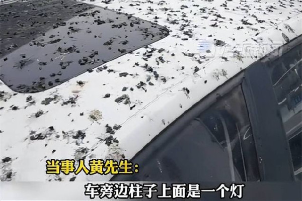 男子停車半小時(shí)車身獨(dú)得鳥屎全覆蓋 停車為什么要收費(fèi)